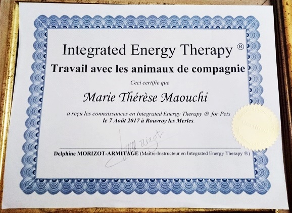 Soins énergétiques IET pour animaux à Caen 14 par Marie-Thérèse